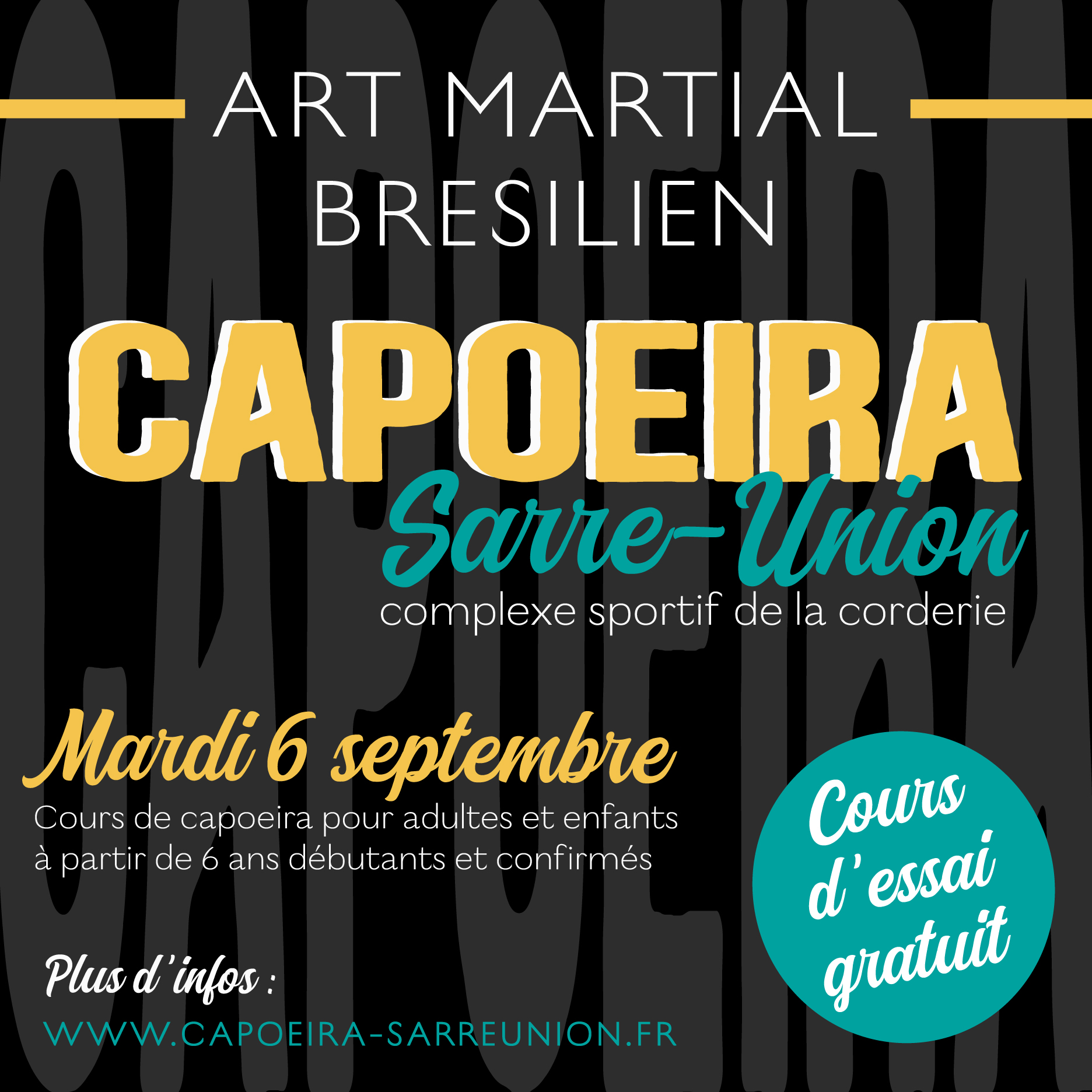 cours de capoeira alsace